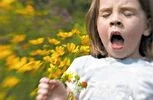 Есть ли у вашего ребенка респираторная аллергия